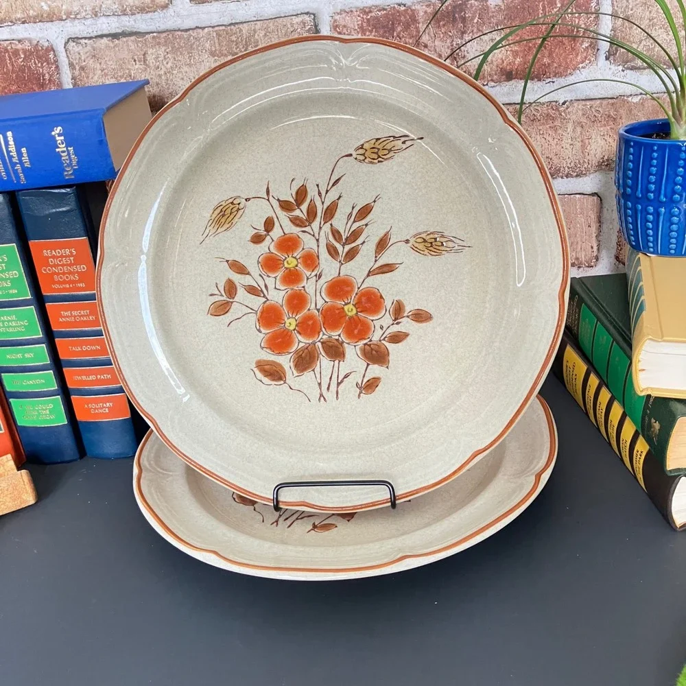 International China Co Monique Country Cousins Dinner Plates SY-7847 Set of 2